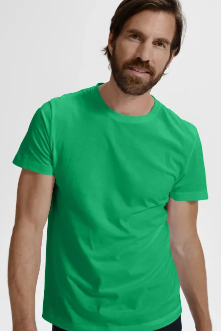 Das einfache T-Shirt der Männer, Grasgrün
