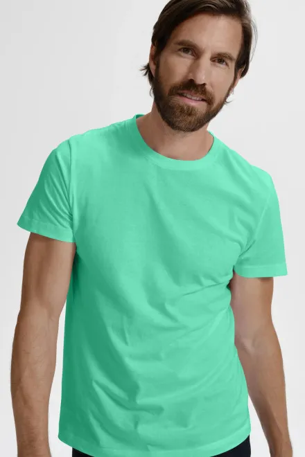 Eenvoudig T-shirt voor heren, munt